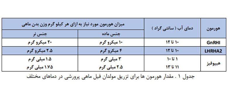 لارو فیل ماهیی